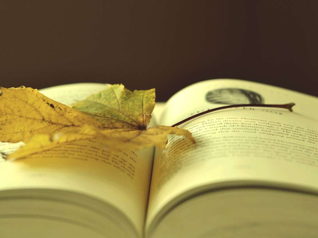 农业气象服务技术培训 农业气象服务技术培训