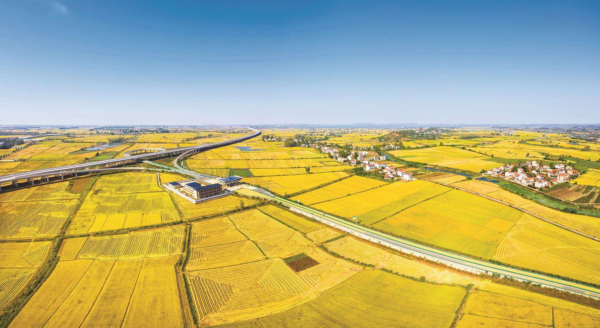 知识产权助推高质量发展,助力乡村振兴 知识产权助推高质量发展,助力乡村振兴