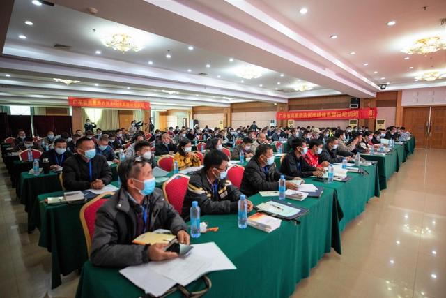 高素质农民市场体系建设培训