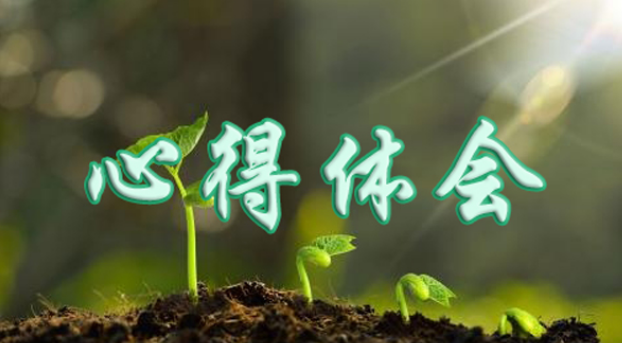 在重庆工商大学参加工商局系统公务人员培训之后的心得体会