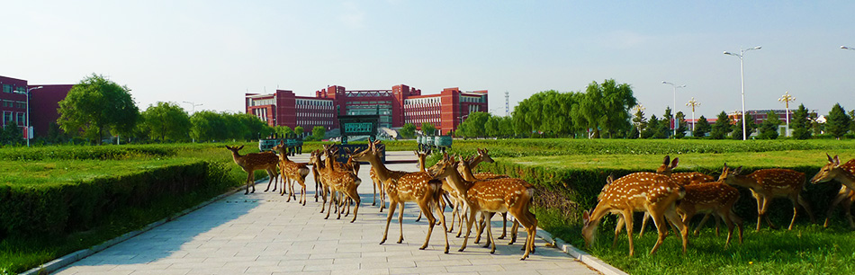 内蒙古师范大学干部培训