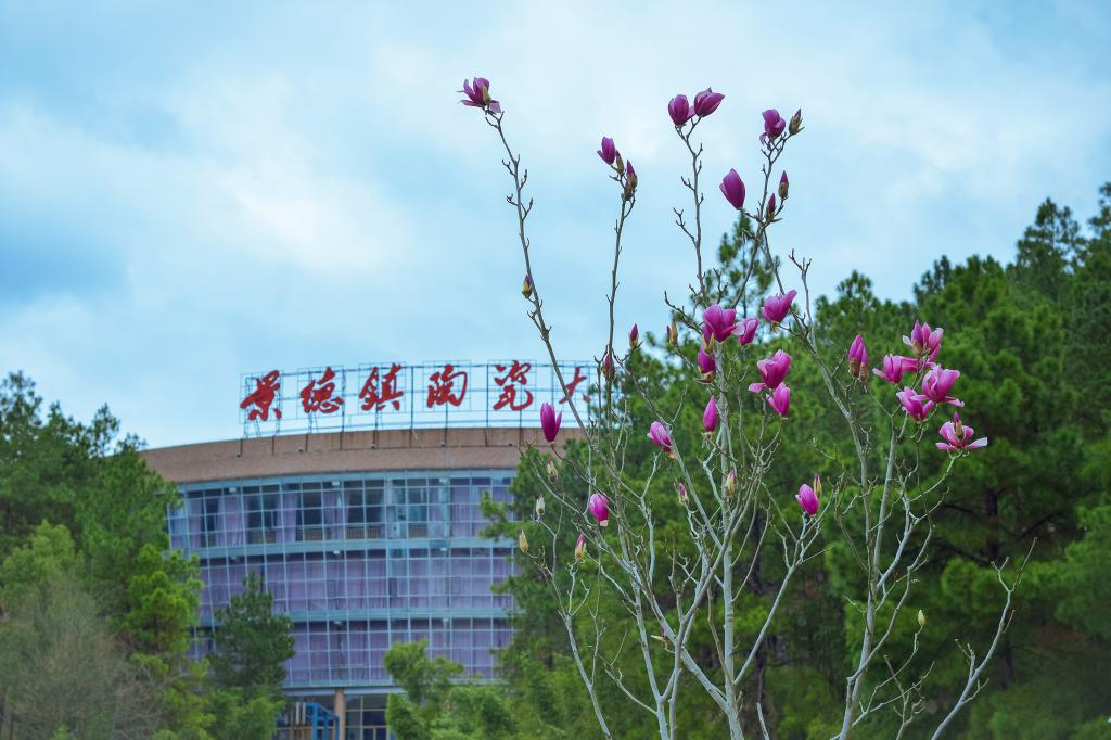 景德镇陶瓷大学干部培训