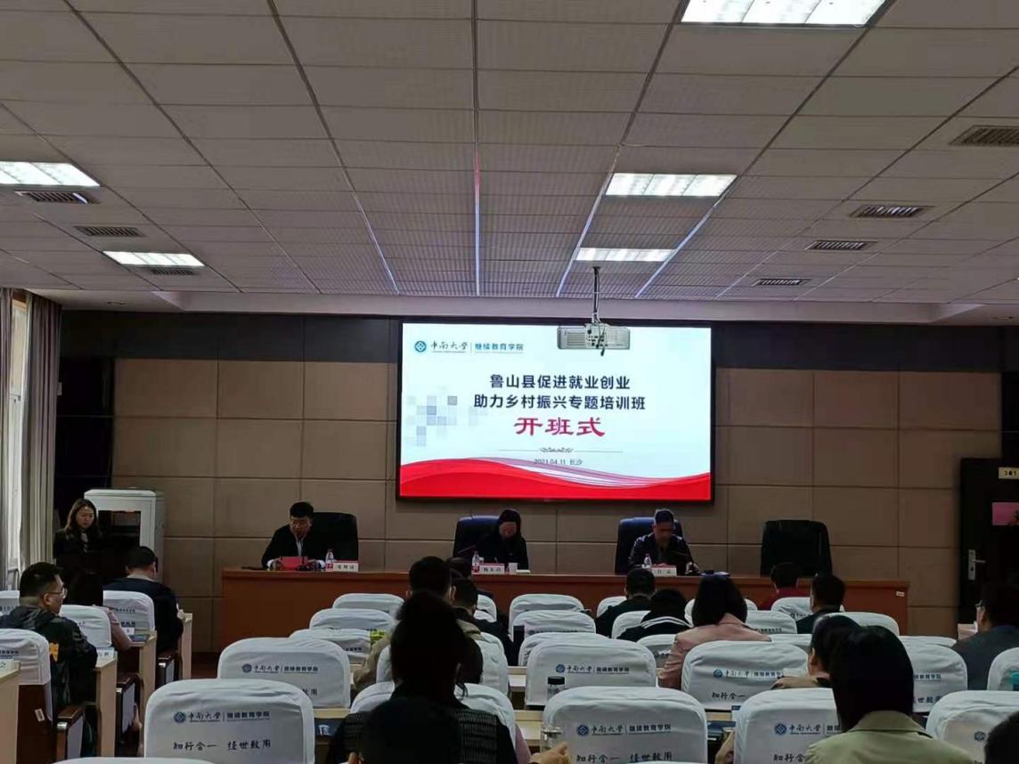 鲁山县促进.jpg