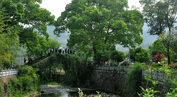 感受美丽乡村，发展绿色铁路——太原局集团公司青年公务人员培训班心得体会